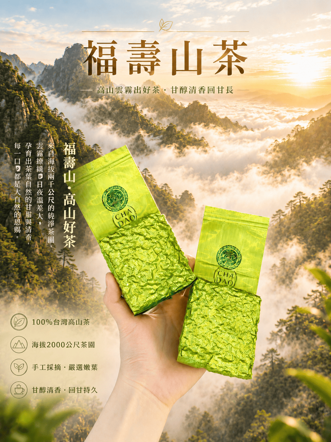 高山茶｜冬季福壽山茶